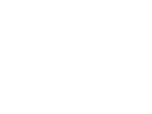 I DRIVE logo